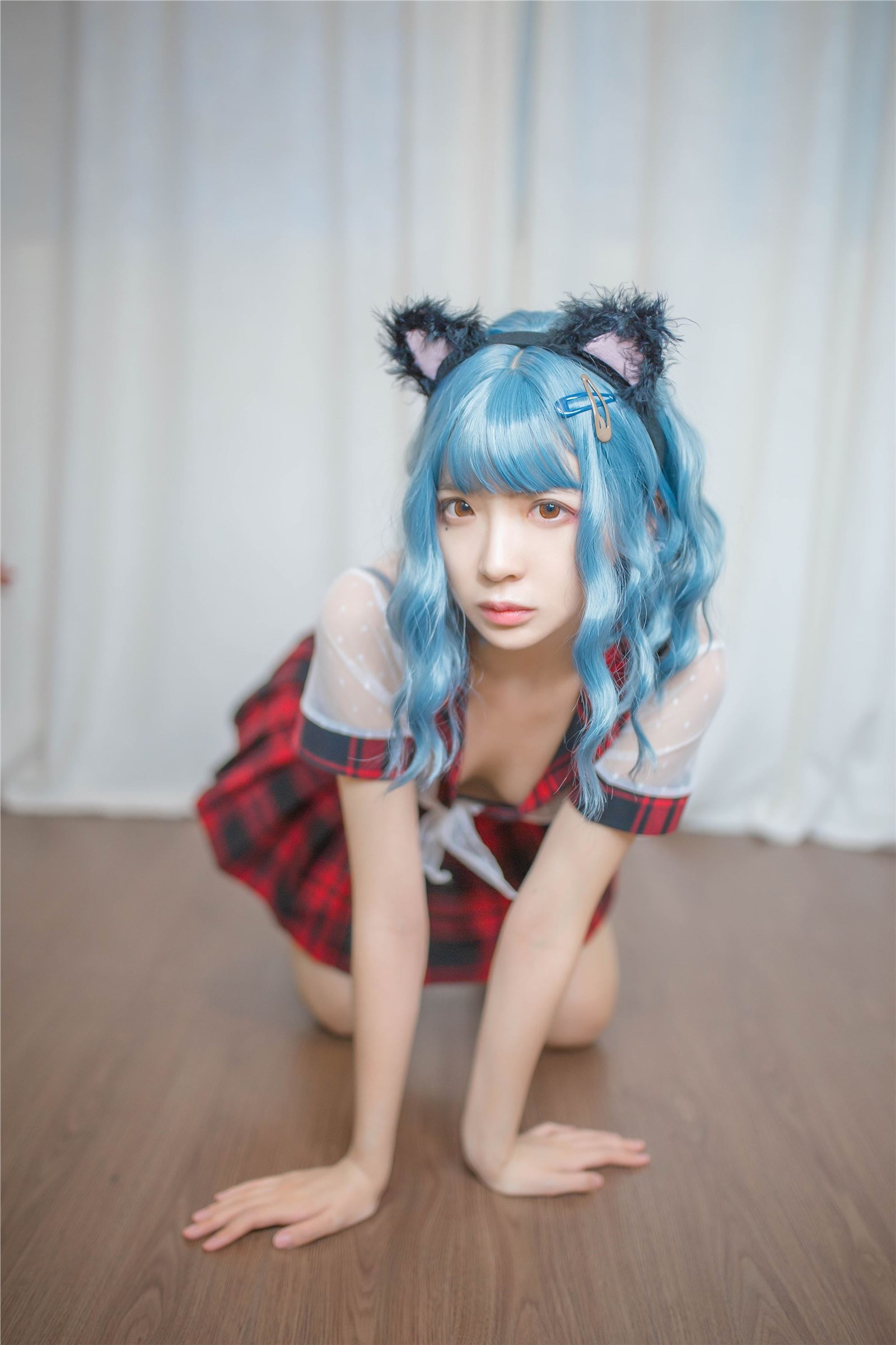 Crazy cat with blue hair(13)